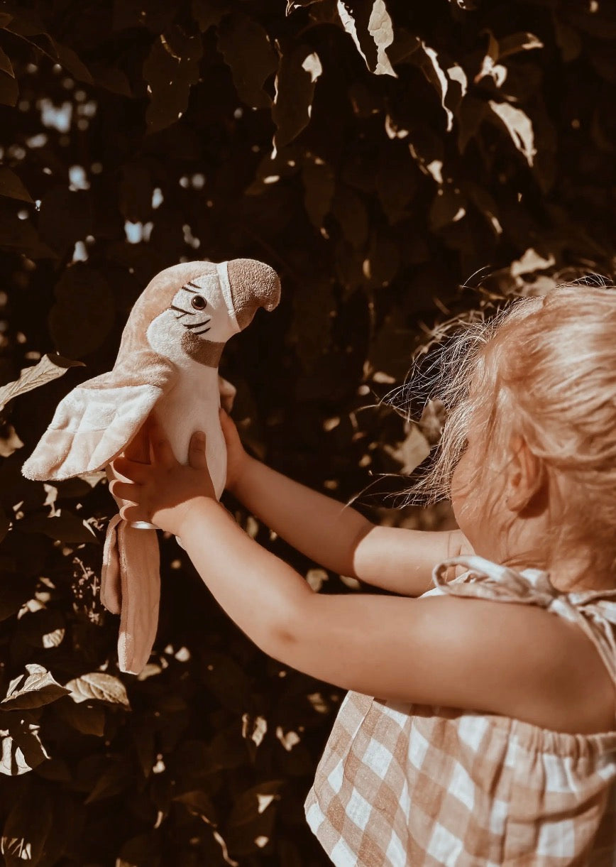 Pierre - the Talking Parrot - Nude
